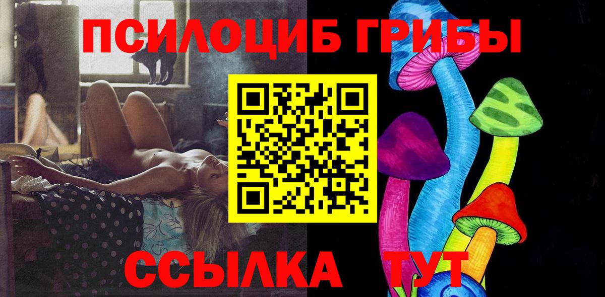Коркино  наркошоп  Вход с VPN  Галлюциногенные грибы Psilocybine cubensis 